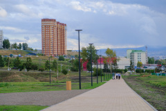 T206549