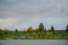 T206568