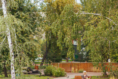 APO_1250