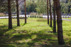 APO_1366